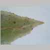 Leaf Apex 20er 01.jpg